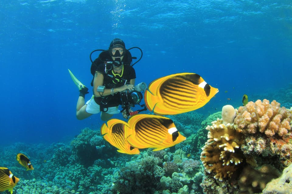 Two sites Scuba Diving in Hurghada Full Day Boat Trip