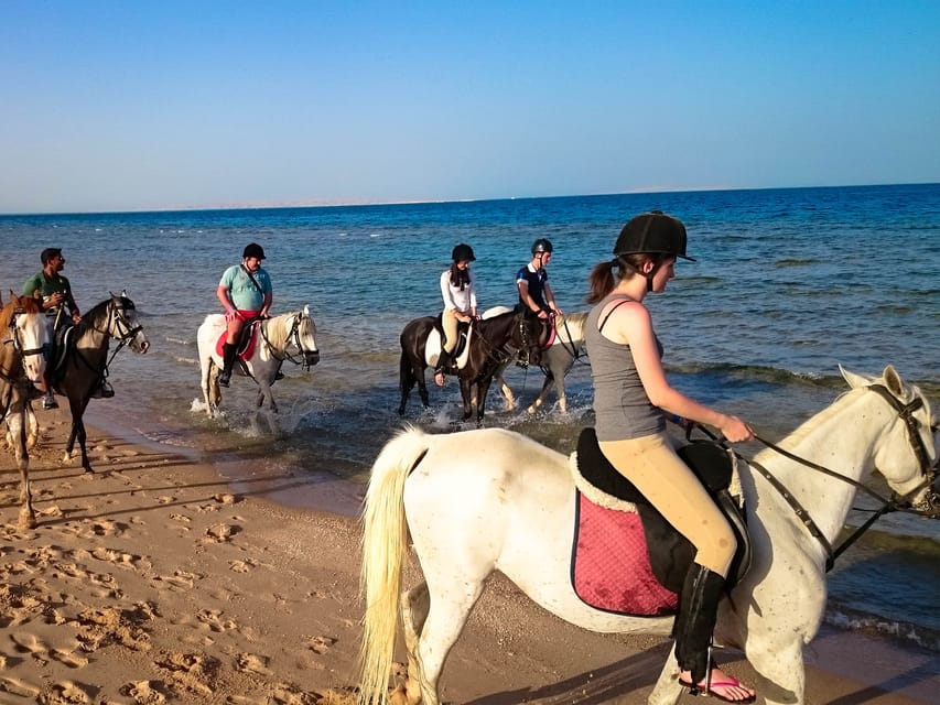 Sea Horseback Riding Tour with Transfer