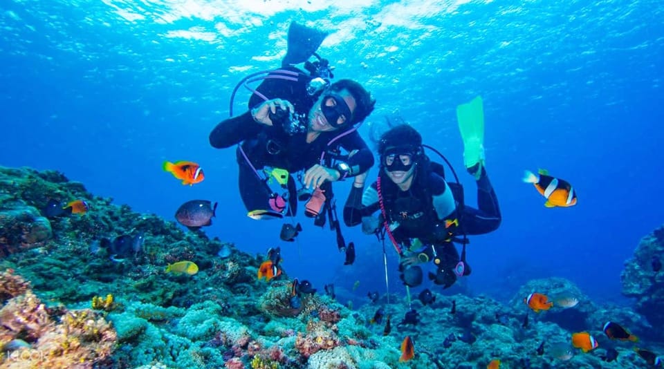 Two sites Scuba Diving in Hurghada Full Day Boat Trip