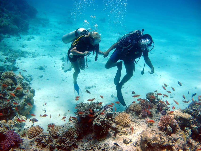 Two sites Scuba Diving in Hurghada Full Day Boat Trip