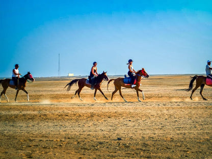 Sunset Sea, Desert Horse, Stargazing