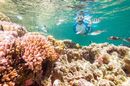 Snorkeling Yacht Trip Utopia Island with Lunch