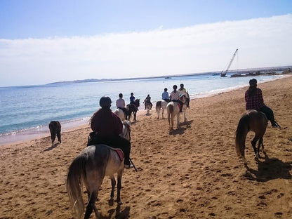 Sea Horseback Riding Tour with Transfer