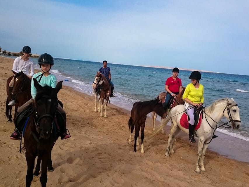 Sea Horseback Riding Tour with Transfer