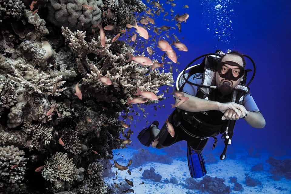 Two sites Scuba Diving in Hurghada Full Day Boat Trip