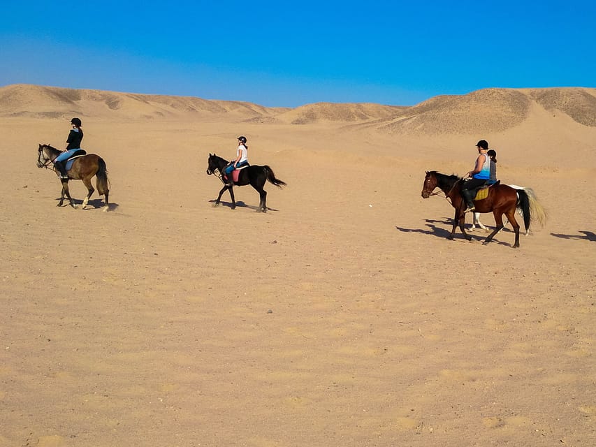 Sunset Sea, Desert Horse, Stargazing