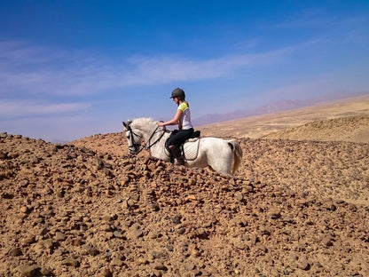 Sunset Sea, Desert Horse, Stargazing