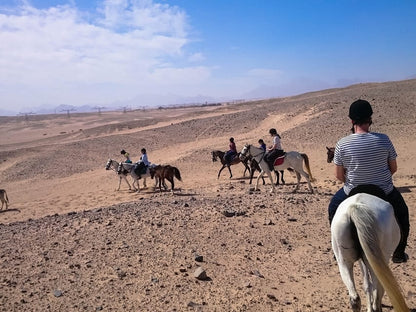 Sunset Sea, Desert Horse, Stargazing