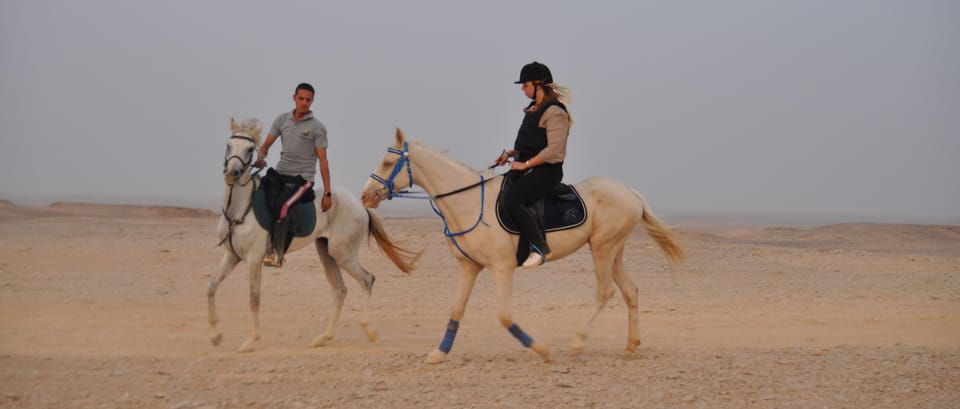 Sunset Sea, Desert Horse, Stargazing