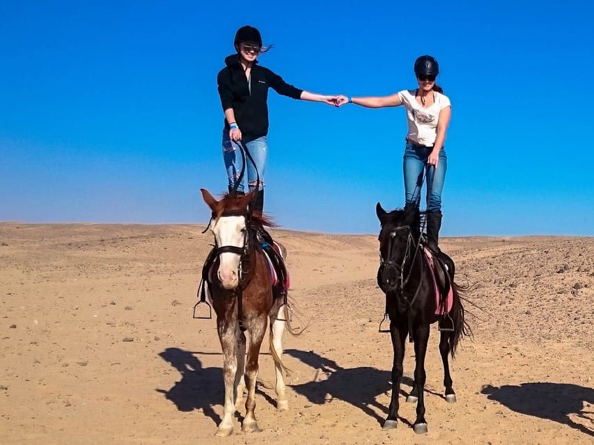 Sunset Sea, Desert Horse, Stargazing