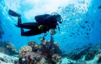 Two sites Scuba Diving in Hurghada Full Day Boat Trip