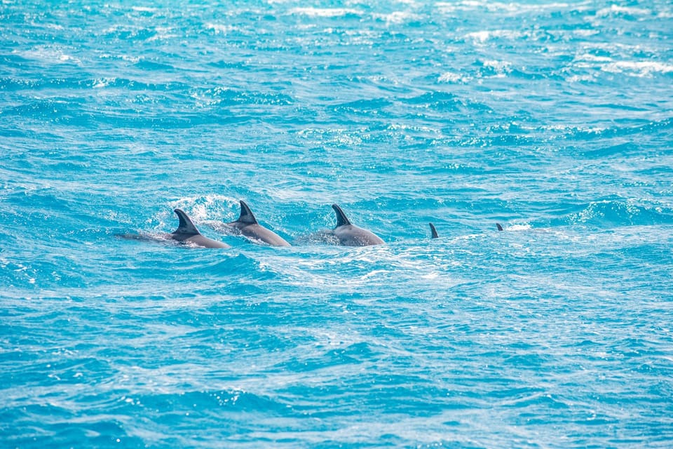 Orange Bay Island Yacht Trip with Lunch & Water Sports