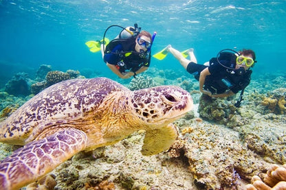 Two sites Scuba Diving in Hurghada Full Day Boat Trip