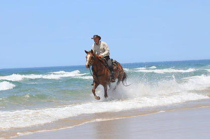 Sea Horseback Riding Tour with Transfer