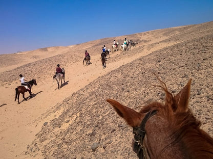 Sunset Sea, Desert Horse, Stargazing