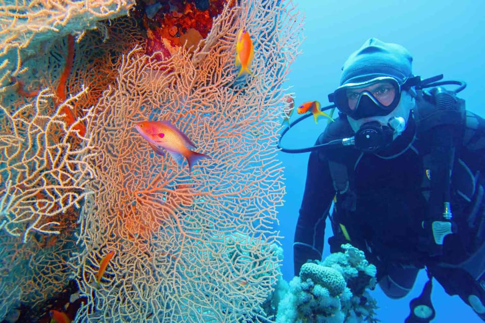 Two sites Scuba Diving in Hurghada Full Day Boat Trip