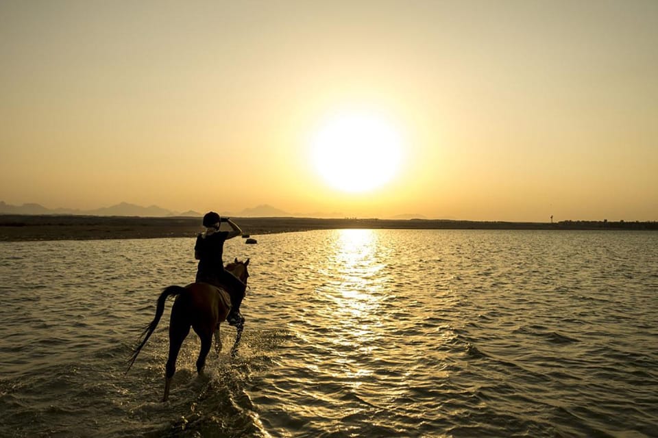 Sea Horseback Riding Tour with Transfer