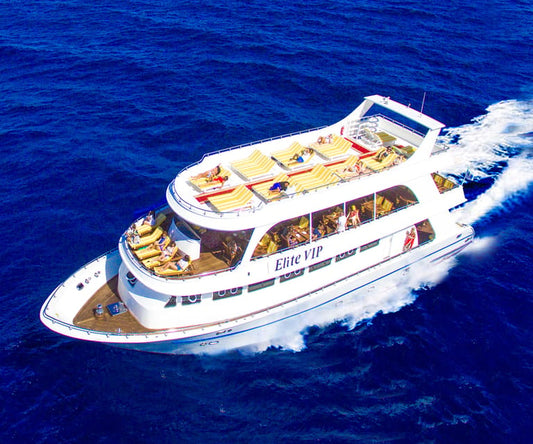 Elite vip snorkeling cruise with BBQ buffet lunch