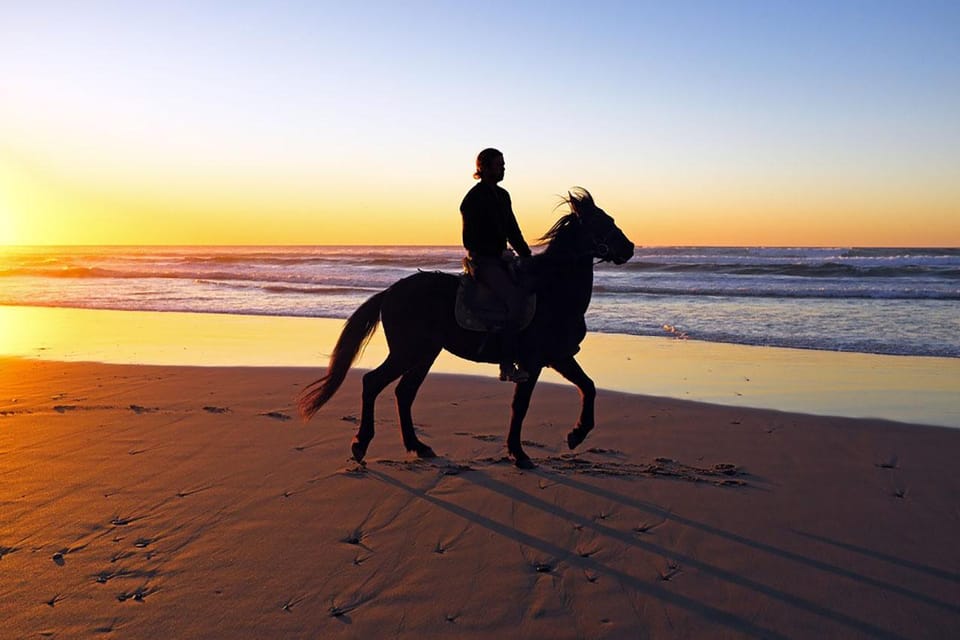 Sea Horseback Riding Tour with Transfer