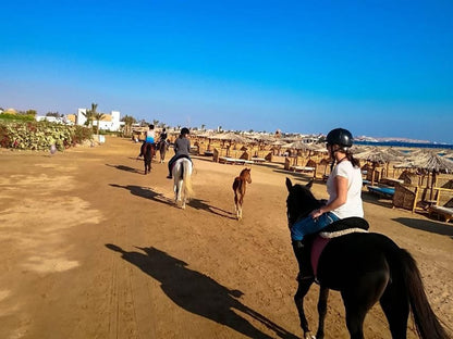 Sunset Sea, Desert Horse, Stargazing