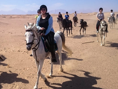 Sunset Sea, Desert Horse, Stargazing