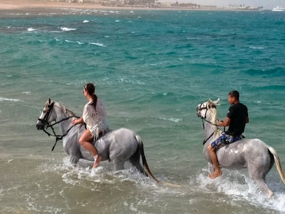 Sea Horseback Riding Tour with Transfer