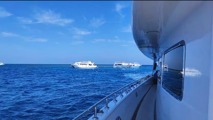 Elite vip snorkeling cruise with BBQ buffet lunch