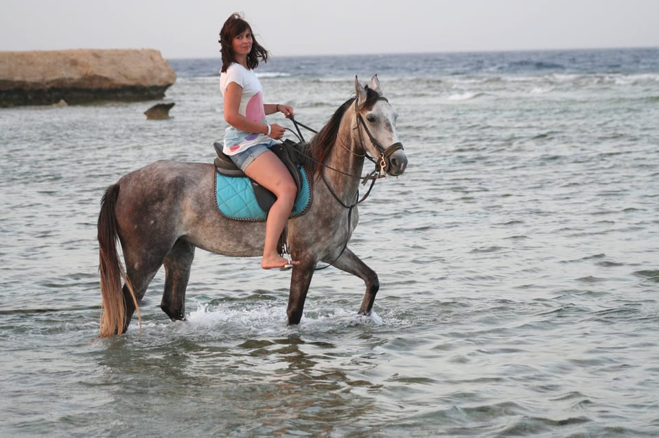 Sea Horseback Riding Tour with Transfer