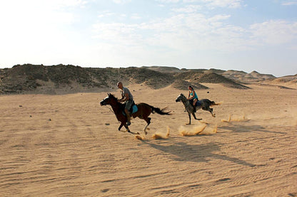 Sunset Sea, Desert Horse, Stargazing