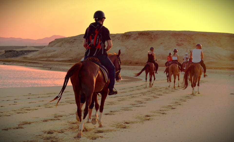 Sea Horseback Riding Tour with Transfer