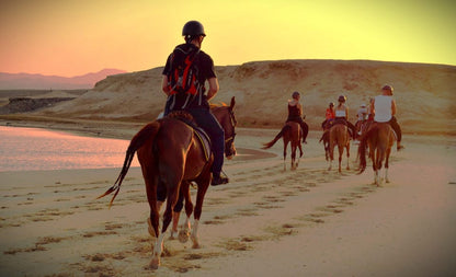 Sea Horseback Riding Tour with Transfer