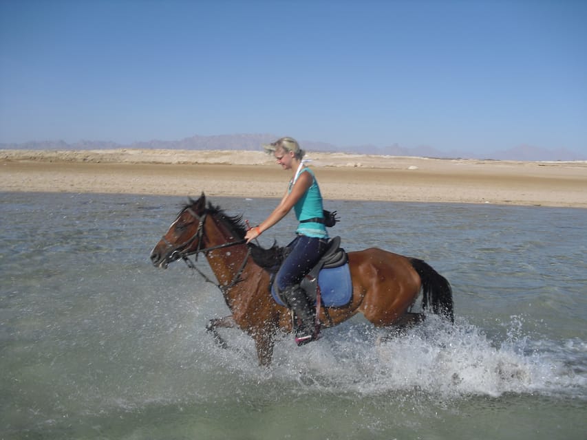 Sea Horseback Riding Tour with Transfer