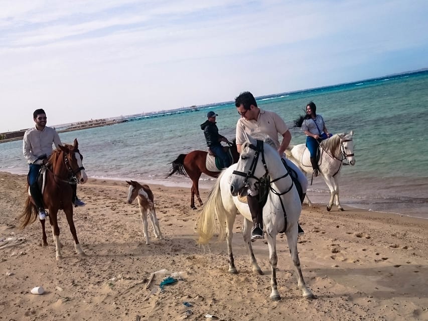 Sea Horseback Riding Tour with Transfer