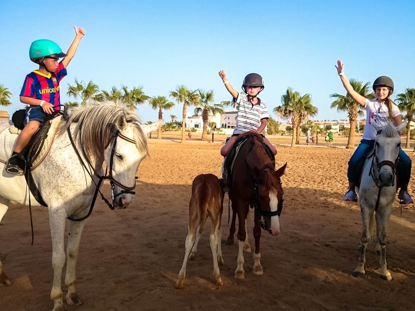 Sunset Sea, Desert Horse, Stargazing