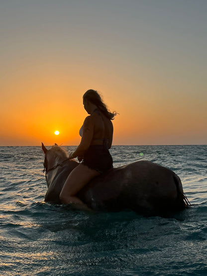 Sea Horseback Riding Tour with Transfer