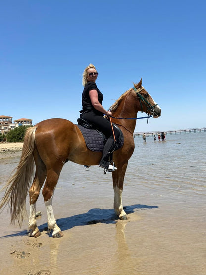 Sea Horseback Riding Tour with Transfer