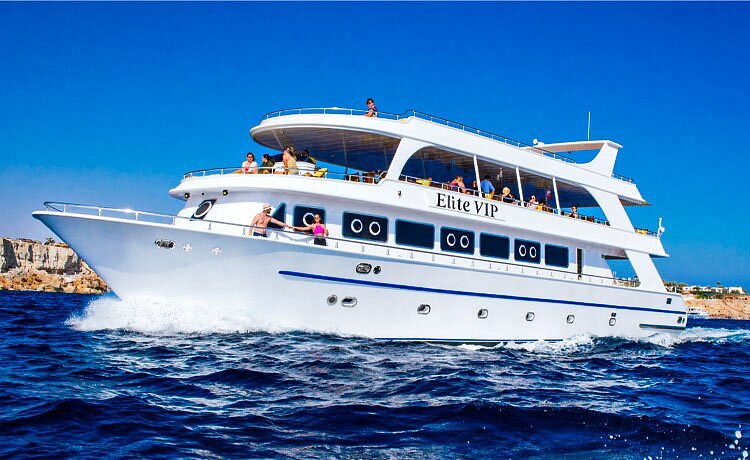 Elite vip snorkeling cruise with BBQ buffet lunch