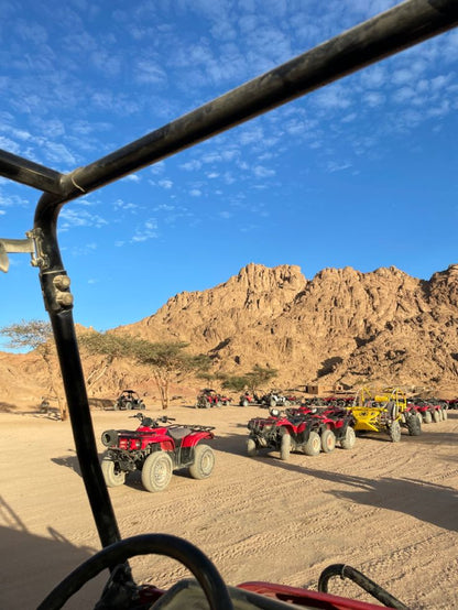 Desert Quad Bike...Safari